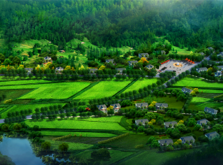 一品小院鄉村美墅