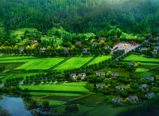 一品小院鄉村美墅