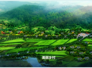 美麗鄉村-01