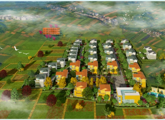 嵊州項(xiàng)目